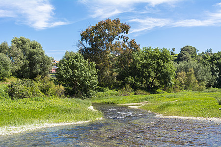 河流生态带树木的河流景观背景