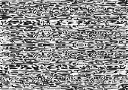 斑马图案背景木板白色噪音年轮插图纹理条纹材料硬木木头背景图片
