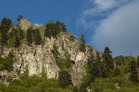 山顶长满高的树 岩石和里拉山角阳光松树旅行空地蓝色森林树木桦木爬坡针叶图片