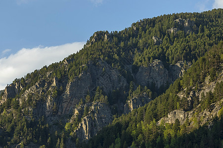 山顶长满高的树 岩石和里拉山角树木桦木天空阳光松树白色旅行针叶森林季节图片