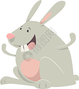 卡塔卡兔子动物的品性图片