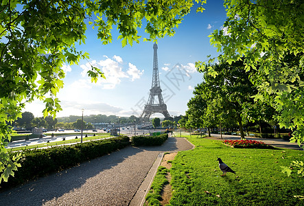 Dove和Eiffel铁塔图片