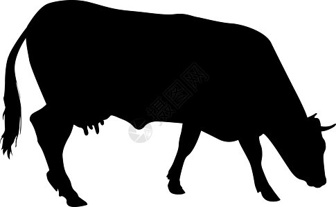 白色背景上现金牛的黑色剪影农村哺乳动物乳牛小牛农场农业家畜手臂动物绘画图片