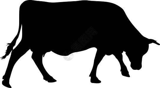 白色背景上现金牛的黑色剪影手臂牛肉绘画牛奶插图动物食物家畜农业农村图片