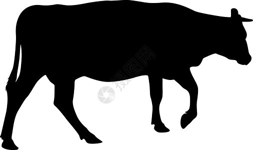 白色背景上现金牛的黑色剪影农场牛奶乳牛牛肉食物小牛家畜哺乳动物插图动物图片