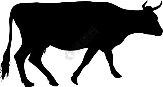 白色背景上现金牛的黑色剪影食物插图小牛农业家畜农场手臂牛奶乳牛哺乳动物图片