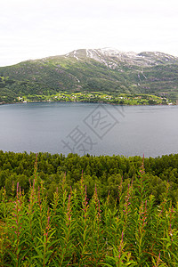 挪威北部地貌景观松树苔原风景峡湾港口顶峰岩石石头森林蓝色图片