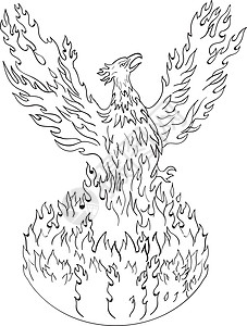 黑白 Drawin插图翅膀神话刮板火焰草图手绘画线手工艺术品图片
