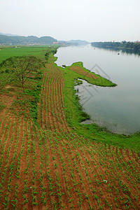 越南Quang Binh美丽的乡村地区山链旅游竹子生态旅行国家农业花园农场农村图片