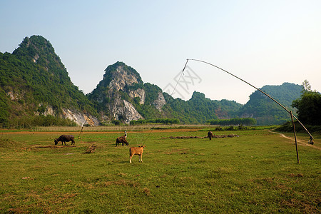 越南Quang Binh美丽的乡村地区旅行国家旅游森林生态绿化农田山链农业水资源图片
