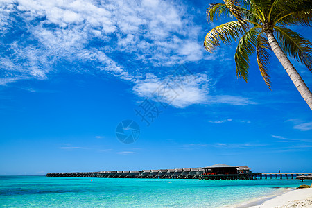 美丽的热带马尔代夫岛屿豪华度假胜地的供水小屋图片
