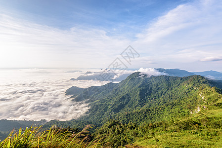 上午在Phu Chi Fa森林公园晴天薄雾天空公园全景爬坡顶峰场景蓝色景点图片