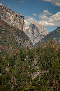 半个多米和El Capitan公园岩石河谷树木穹顶荒野冰川山脉表面风景图片