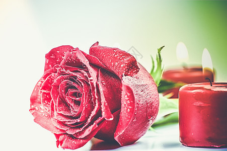 浪漫的红玫瑰主题图片