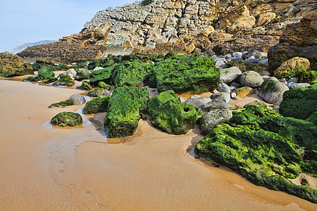 海岸上的绿宝石石头海洋支撑季节场景宏观岩石旅行植物苔藓图片