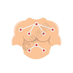 身体 ico 上的平面图标健康问题图片