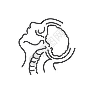 心脑解剖学 医学医生图标 直线图标 St图片