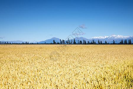 新西兰南部美丽的风景 美丽地貌的景观公园场地绿色冒险远足旅游爬坡国家乡村蓝色图片