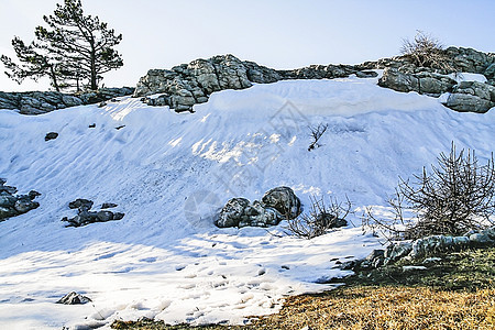 山地的风景 雪雪 明日下季节悬崖石头土地太阳森林阴影阳光岩石环境图片