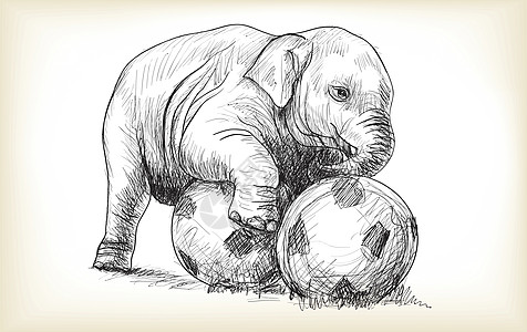 小象踢足球草图和自由手绘点检婴儿线条墨水足球野生动物运动游戏哺乳动物孩子皮肤图片