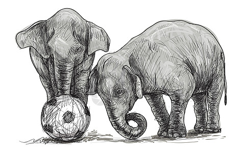 大象踢足球素描自由手绘它制作图案明信片野生动物游戏皮肤孩子运动动物园婴儿旅游绘画图片