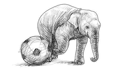 大象踢足球素描自由手绘它制作图案婴儿线条旅游足球家庭野生动物动物园孩子皮肤运动图片