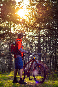 赛车手骑着自行车在美丽的仙子松林的轨迹上 冒险和旅行概念活动男人耐力射线骑士森林运动娱乐耐力赛魔法图片