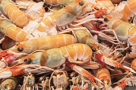 海产食品市场中的虾港口动物饮食餐厅渔业美食食物甲壳类钓鱼营养图片
