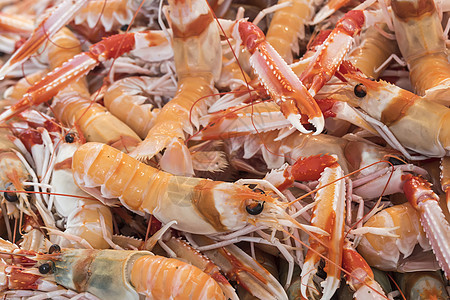 海产食品市场中的虾甲壳类渔业甲壳海洋动物食物团体餐厅海鲜烹饪图片
