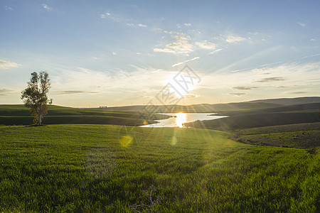 阳光麦田绿地湖泊景观镜子树木阳光太阳季节场景天空日落日出草地背景