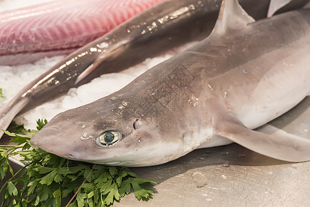 当地市场上的鲨鱼鱼贩蓝色钓鱼牛扒海洋动物营养美味香菜炙烤鱼片图片