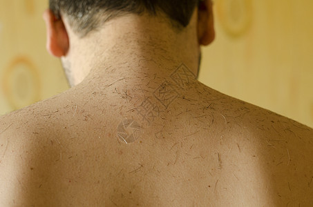 理发师之后的人体膀子躯干身体皮肤男人头发棕褐色表皮男性图片