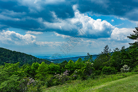 Shenandoah国家公园丘陵绿色阴霾天际蓝色天空公园阳光雪兰大道背景图片