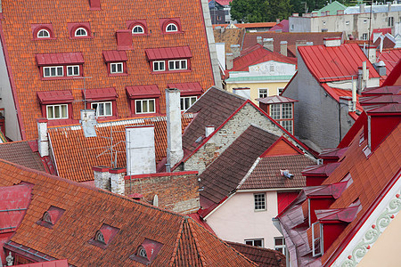 塔林老城的房屋旅游地标建筑房子历史性红色旅行城市街道建筑学图片