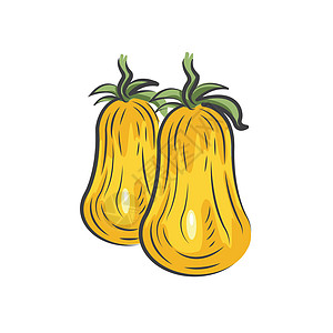 两个黄色番茄绘图图标设计图片