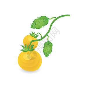 番茄树黄色颜色 ico图片