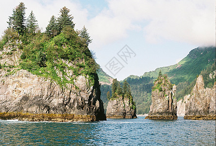 苏厄德阿拉斯加附近海洋外的黄石公园海岸线松树森林岩石巡航旅游海岸野生动物蓝色天空图片