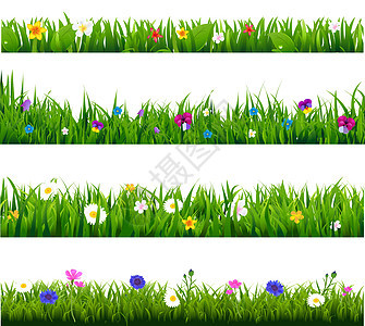 草花边框太阳草地插图植物框架花朵甘菊边界郁金香草原图片