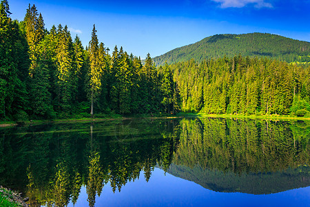 森林附近淡水山脉蓝色全景场景公园木头天空旅行爬坡湖泊图片