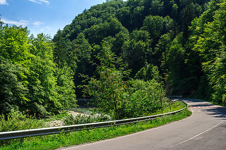 山地道路在森林附近左转图片