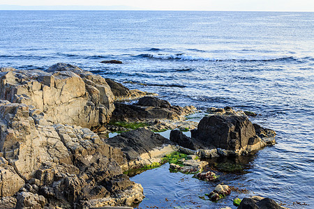 带海藻的岩石海岸日出海岸线天空地平线蓝色悬崖石头旅行支撑海洋图片