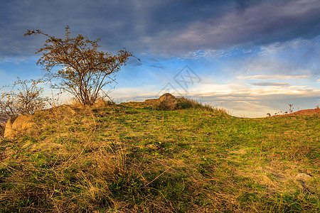 黄草秋天 黄山上的野玫瑰和石头背景