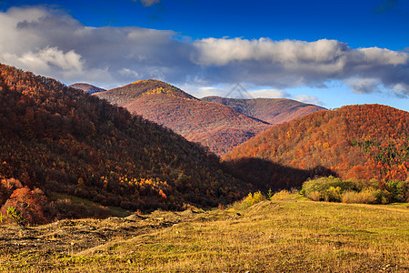 秋秋山地貌 有红树和黄树叶环境乡村风景全景叶子爬坡天空季节旅行晴天图片