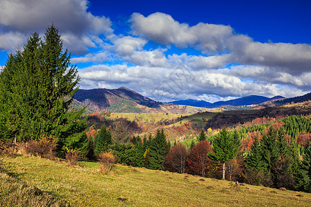 山中山谷附近的松树和山丘上的秋林绿色天空爬坡森林红色旅行植物农村旅游环境图片