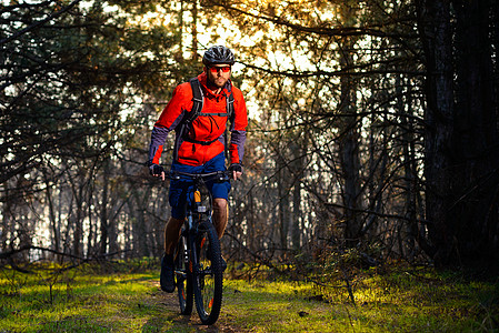 赛车手骑着自行车在美丽的仙子松林的轨迹上 冒险和旅行概念射线娱乐车轮太阳骑士运动员耐力赛踪迹头盔橙子图片