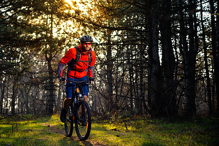 赛车手骑着自行车在美丽的仙子松林的轨迹上 冒险和旅行概念橙子骑士娱乐松树运动男人速度头盔安全魔法图片