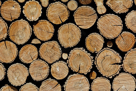 堆积的原木背景风化硬木圆圈林业贮存森林库存木材木头松树图片