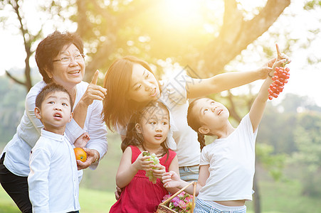 外婆 母亲和孩子在户外团体孙子孙女祖母儿子耀斑太阳喜悦女性乐趣图片