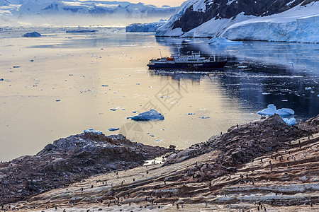 冰山和根图企鹅之间聚集的南极游轮荒野山脉旅游巡航岩石血管漂流殖民地海洋海岸线图片