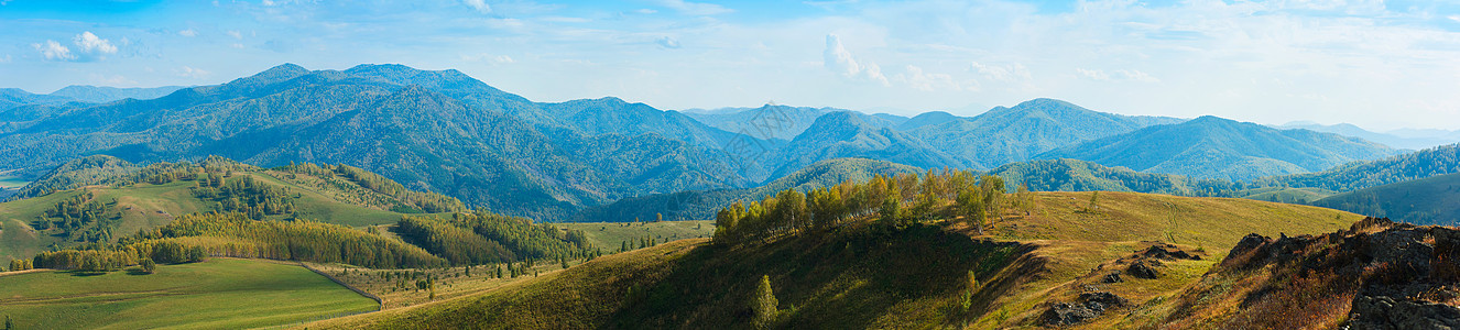 山上美丽的一天松树环境国家天空季节草地山脉植物群森林日落图片